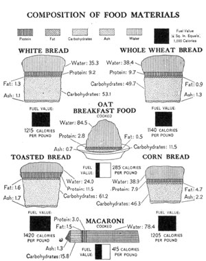 [Illustration: Composition of food materials]